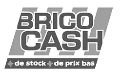 Logo Bricocash
